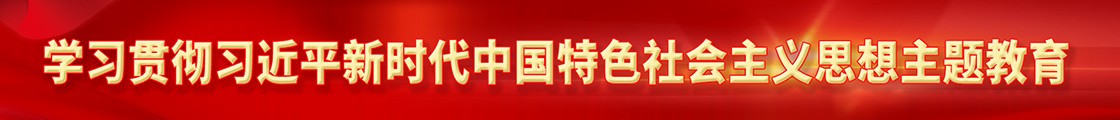 学习贯彻习近平新时代中国特色社会主义思想主题教育